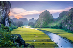From Ha Noi: Small Group Tour to Hoa Lu, Tam Coc